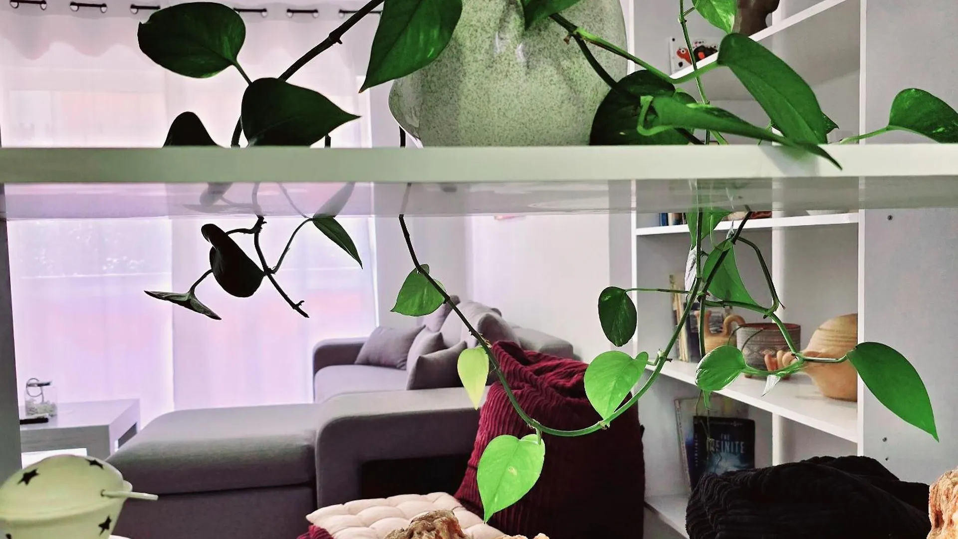 Apartamento Micasatucasa Tirana Albania